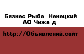 Бизнес Рыба. Ненецкий АО,Чижа д.